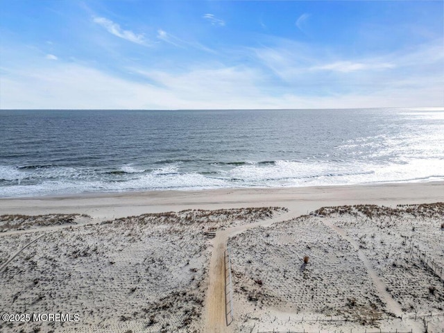 water view featuring a beach view