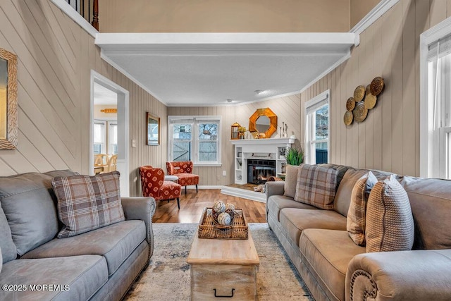 living room with hardwood / wood-style flooring and ornamental molding