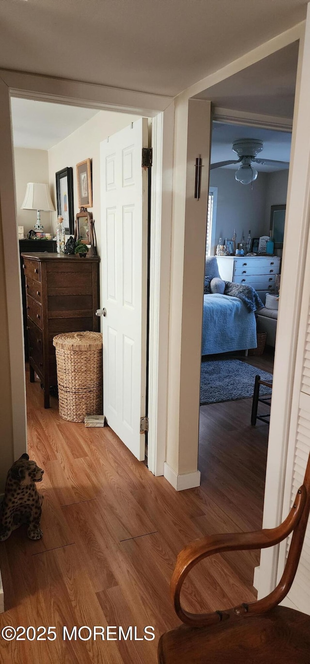 hallway with hardwood / wood-style floors