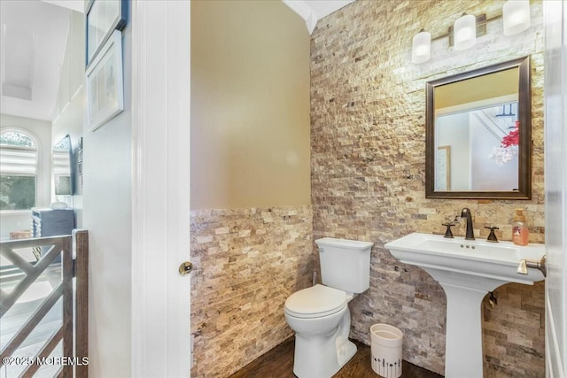 bathroom featuring sink, wood-type flooring, and toilet