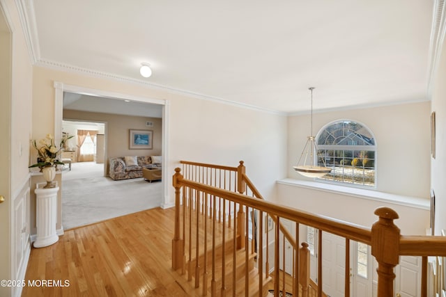 corridor featuring crown molding and hardwood / wood-style floors