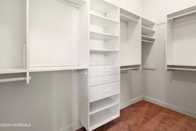 spacious closet featuring dark colored carpet