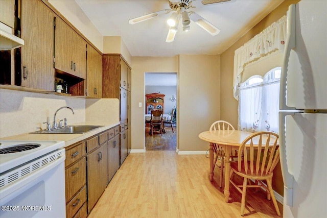 kitchen featuring sink, white appliances, light hardwood / wood-style flooring, and ceiling fan