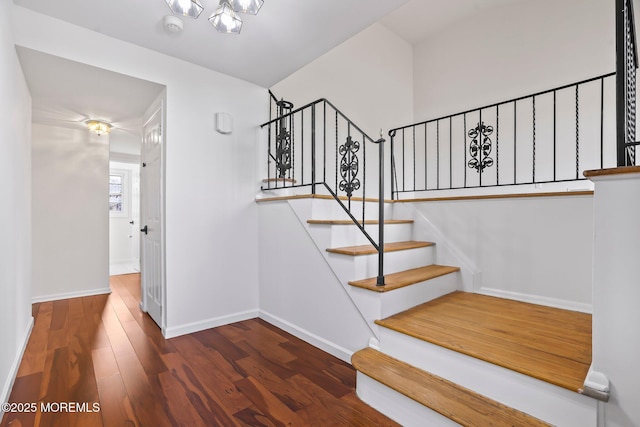 stairs with hardwood / wood-style flooring