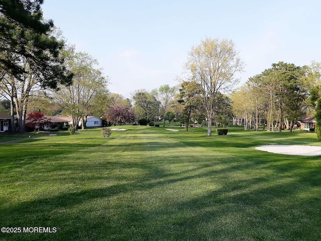 view of property's community featuring a yard