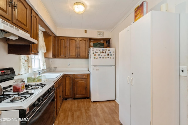 kitchen featuring white appliances, light hardwood / wood-style floors, and sink