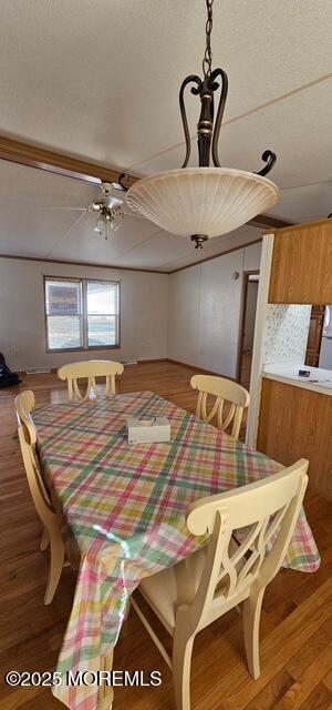 dining room with ceiling fan and dark hardwood / wood-style floors