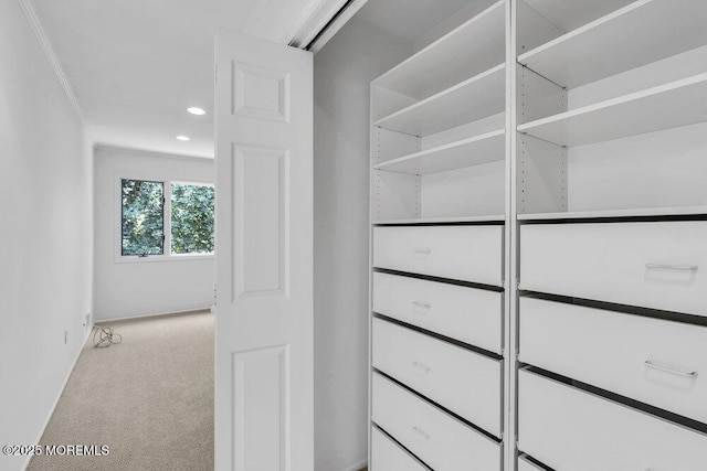 68 Ambassador Dr, Red Bank, NJ 07701 - photo 18