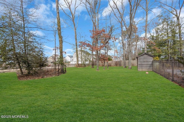 view of yard with a storage shed