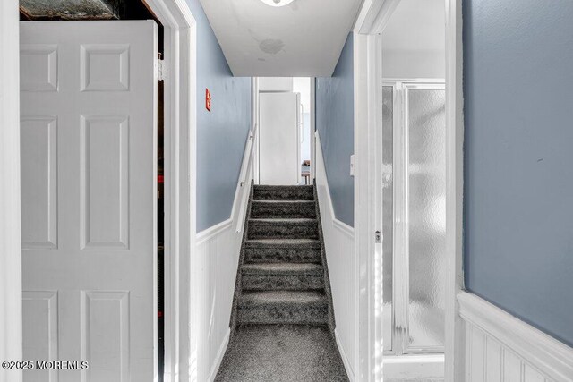 stairway featuring carpet flooring