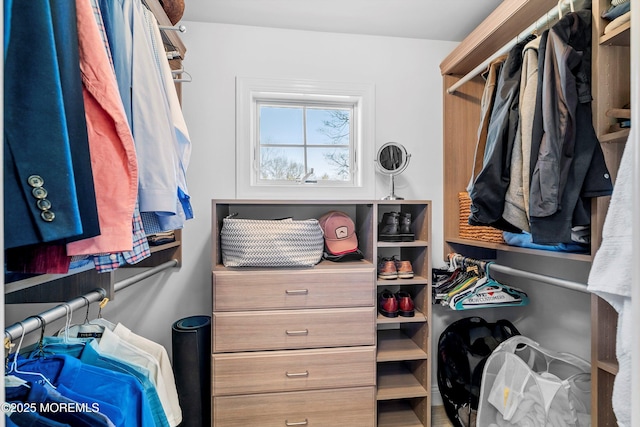 view of spacious closet