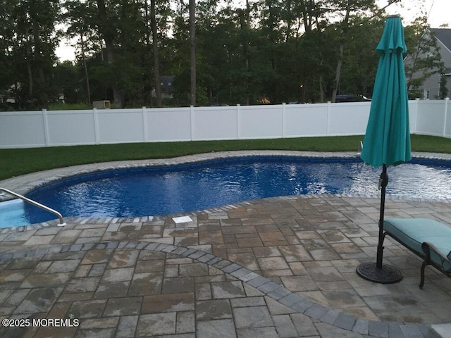 view of pool with a patio area