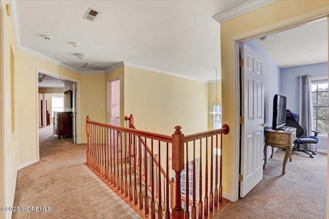 hall with crown molding and light colored carpet