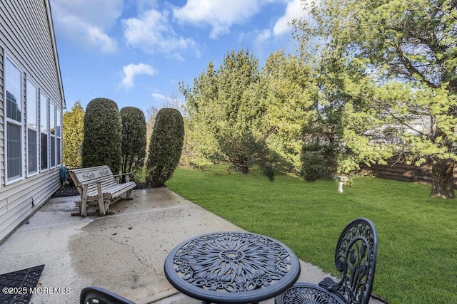 view of yard featuring a patio