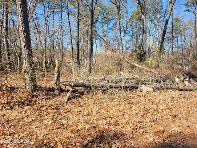 3 Railroad Ave, Bayville, NJ 08721