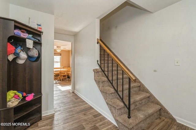 stairs featuring hardwood / wood-style flooring