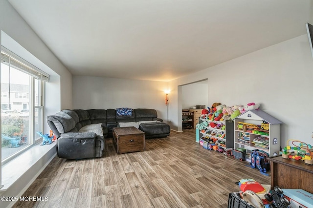 living room with wood-type flooring