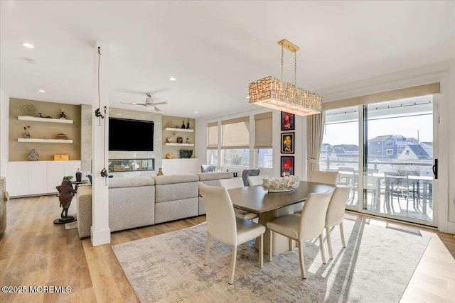 dining space with built in shelves, light hardwood / wood-style floors, and ceiling fan