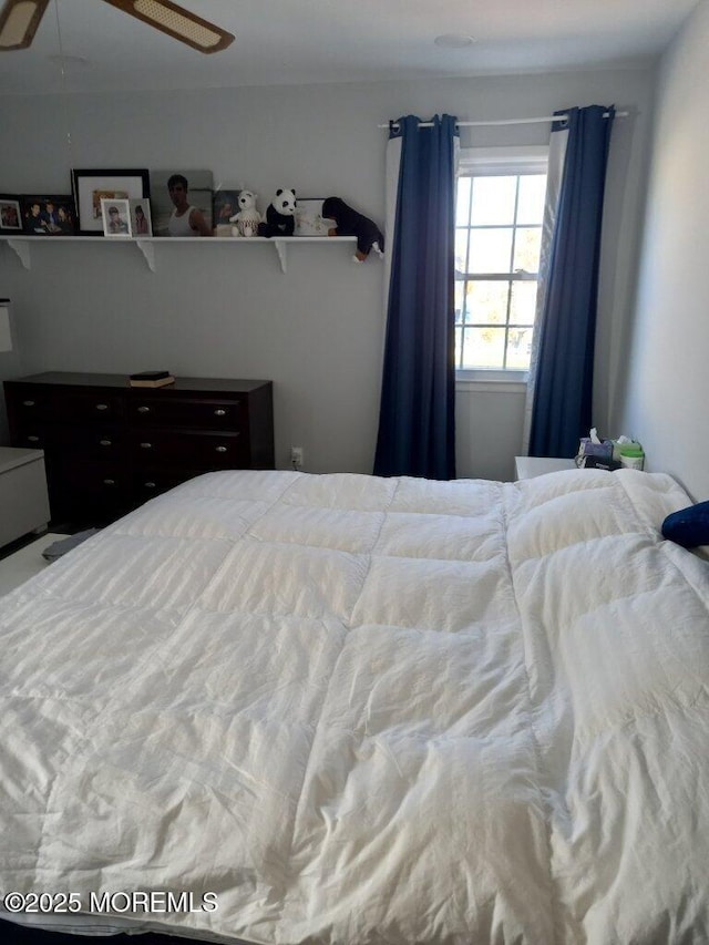 bedroom with ceiling fan