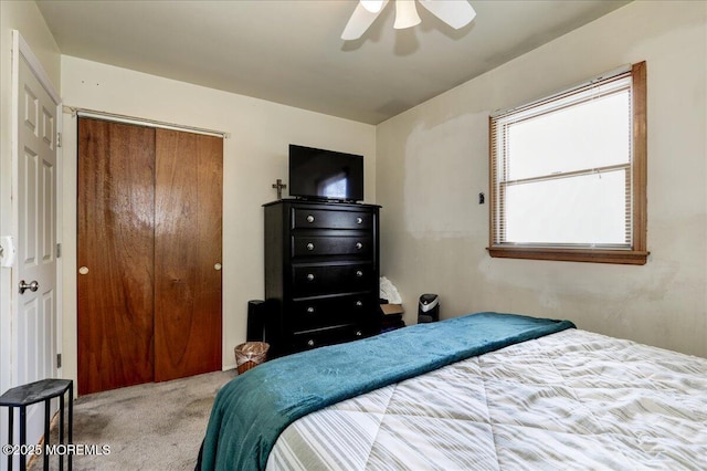 bedroom featuring ceiling fan, carpet flooring, and a closet