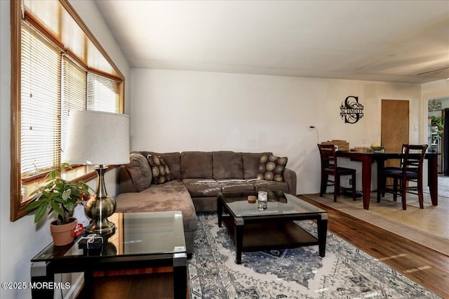 living room featuring wood-type flooring