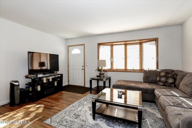 living room featuring dark wood-type flooring