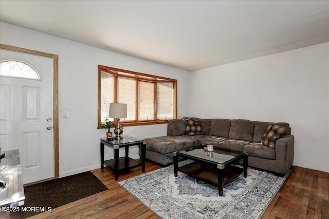 living room featuring hardwood / wood-style flooring and plenty of natural light