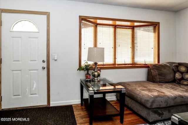 foyer entrance with a wealth of natural light and wood-type flooring