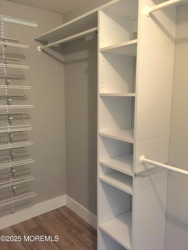 walk in closet featuring hardwood / wood-style flooring