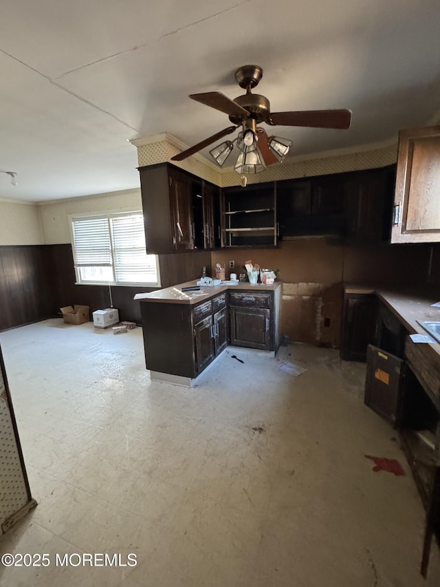 kitchen with ceiling fan and dark brown cabinetry