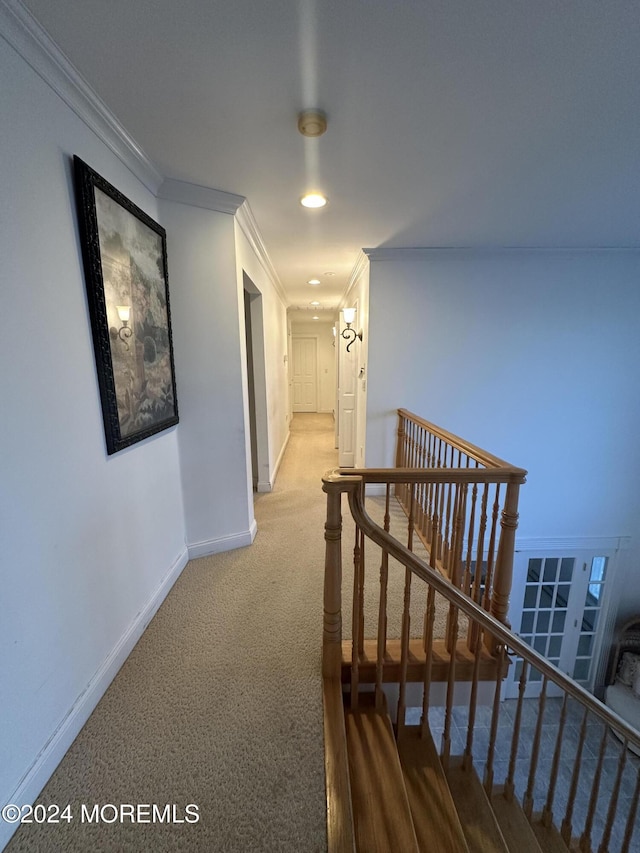 corridor with crown molding and carpet