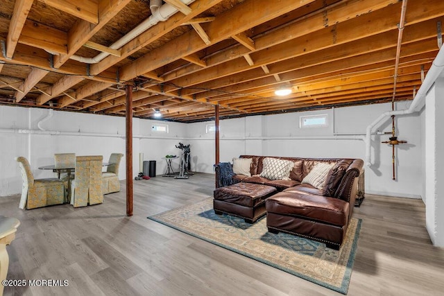 basement featuring hardwood / wood-style flooring