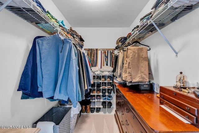 spacious closet with light colored carpet