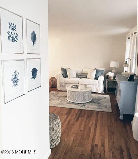 living room featuring dark hardwood / wood-style floors