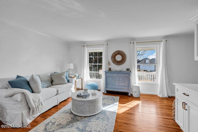 living room with ornamental molding and light hardwood / wood-style floors