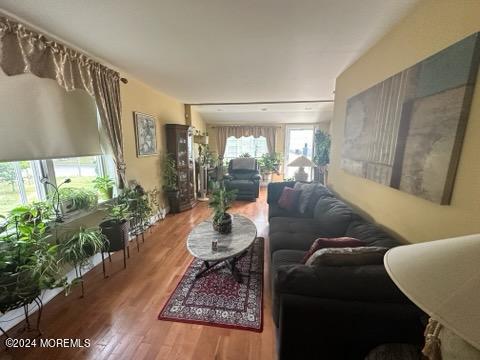 living room featuring hardwood / wood-style floors