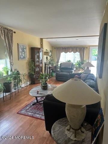 living room with hardwood / wood-style flooring