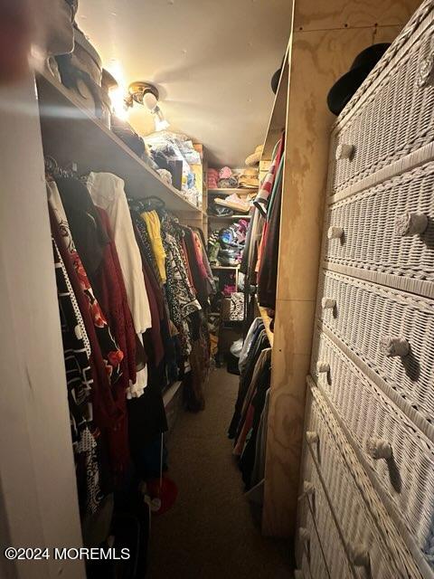 walk in closet featuring carpet floors