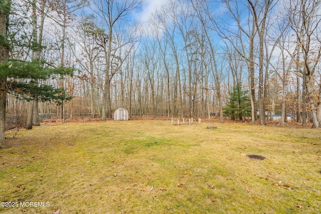 view of yard featuring a shed