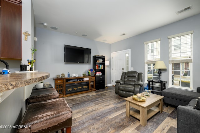 living room featuring dark hardwood / wood-style flooring