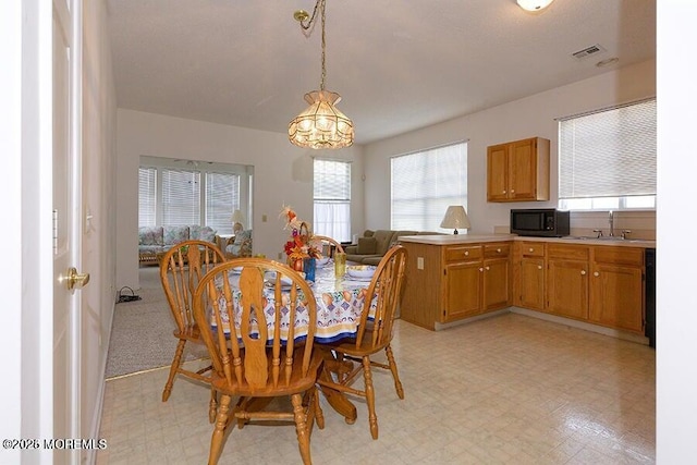 dining room featuring sink