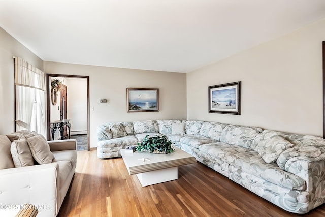 living room with a baseboard radiator and hardwood / wood-style floors