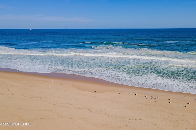 property view of water with a beach view