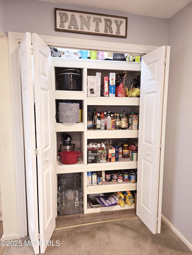 view of pantry