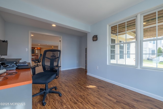 office featuring dark hardwood / wood-style flooring