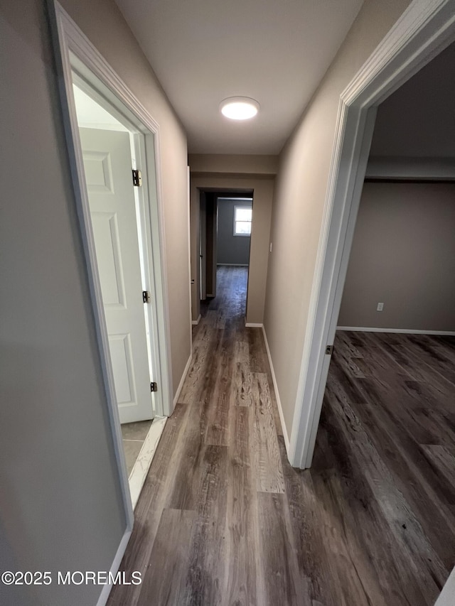 hallway featuring dark hardwood / wood-style floors