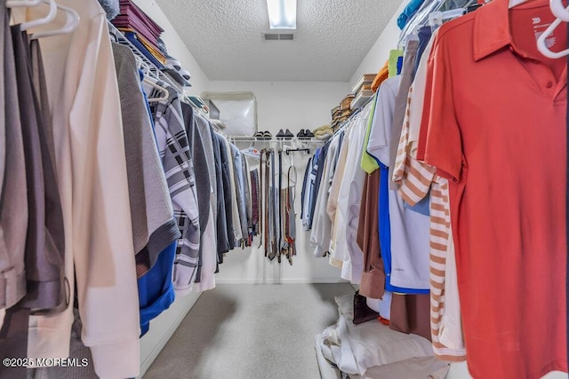 view of spacious closet