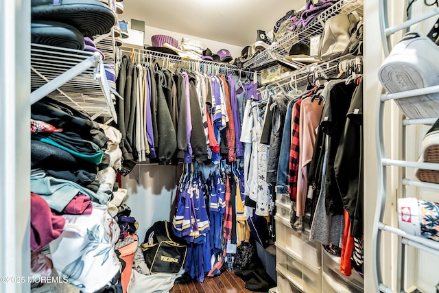 spacious closet featuring dark wood-type flooring