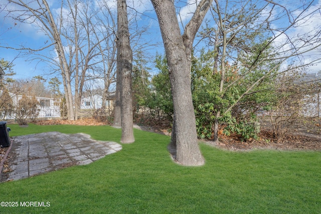 view of yard with a patio