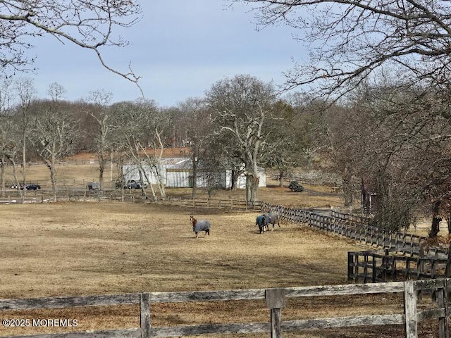 view of yard featuring a rural view